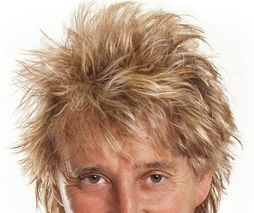 Rod Stewart One Last Time